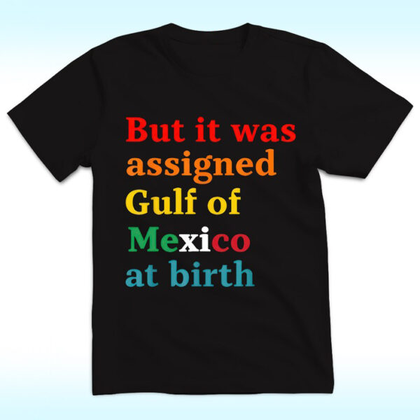 The latest design trend captured perfectly in But It Was Assigned Gulf of Mexico at Birth Shirt.